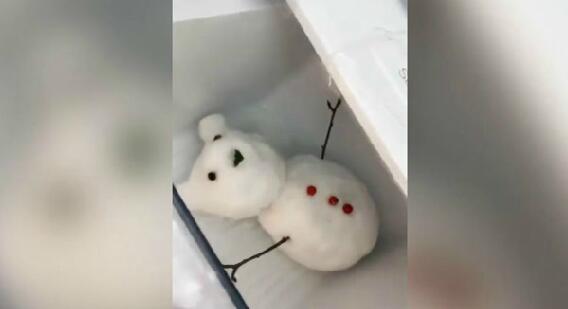 南方姑娘打开冰箱炫耀“宝贝” 全国网友看得笑岔气【视频】