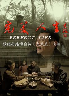 完美人生（2012）