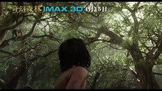 中文IMAX版预告片