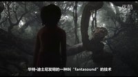 《奇幻森林》导演乔恩·费儒表示：杜比全景声完美呈现幻想曲