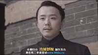 谢文东电视剧全集150集