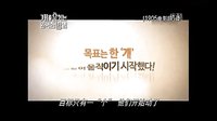 韩国电影《盗狗贼》中文预告片