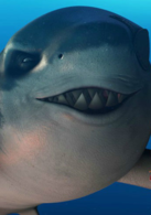 独眼鲨