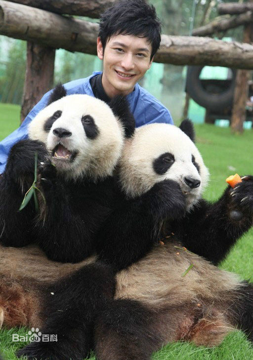 黄晓明和熊猫 7