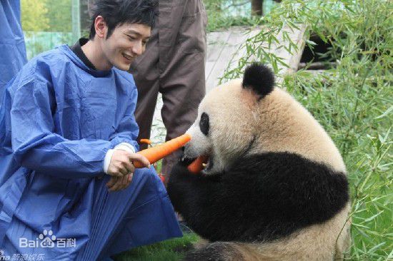 黄晓明和熊猫 3