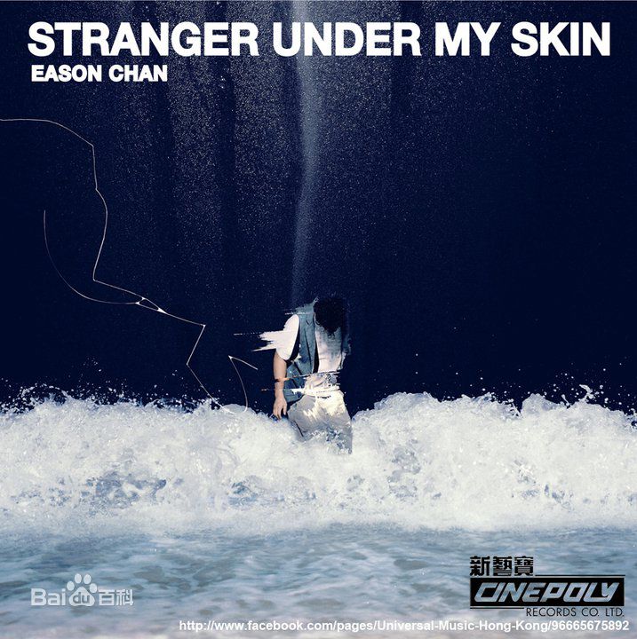陈奕迅 Stranger Under My Skin 2