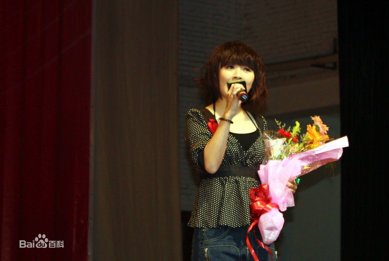 黄雅莉 2008年武汉飞翔首唱 2