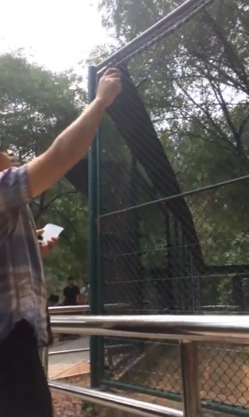 北京大兴野生动物园游客拿石头猛砸老虎 园方称正在核实