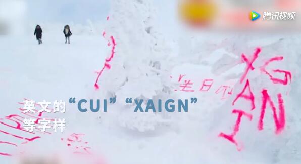 日本知名景观“树冰”遭涂鸦：写粉色“生日快乐”汉字”【现场图】