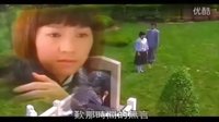 野玫瑰不流泪 电视剧＜女人何苦为难女人＞片尾曲-影视原声