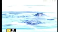 [naya爱的小屋][ATC版筑梦庄园之心火][naya片段剪辑]3.6游泳池之吻