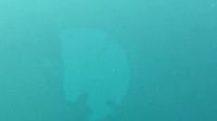 济州岛的海底世界